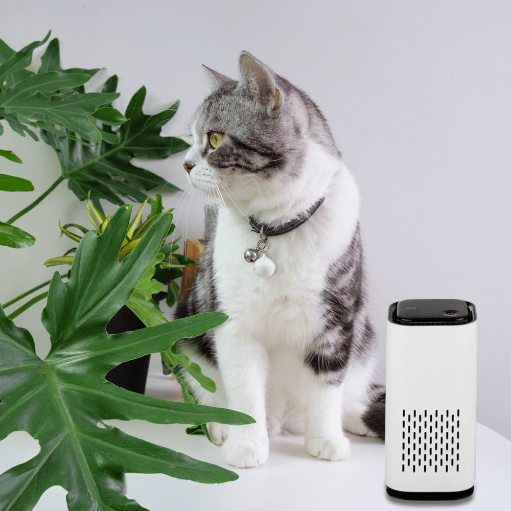 Pet Air Purifier image 5