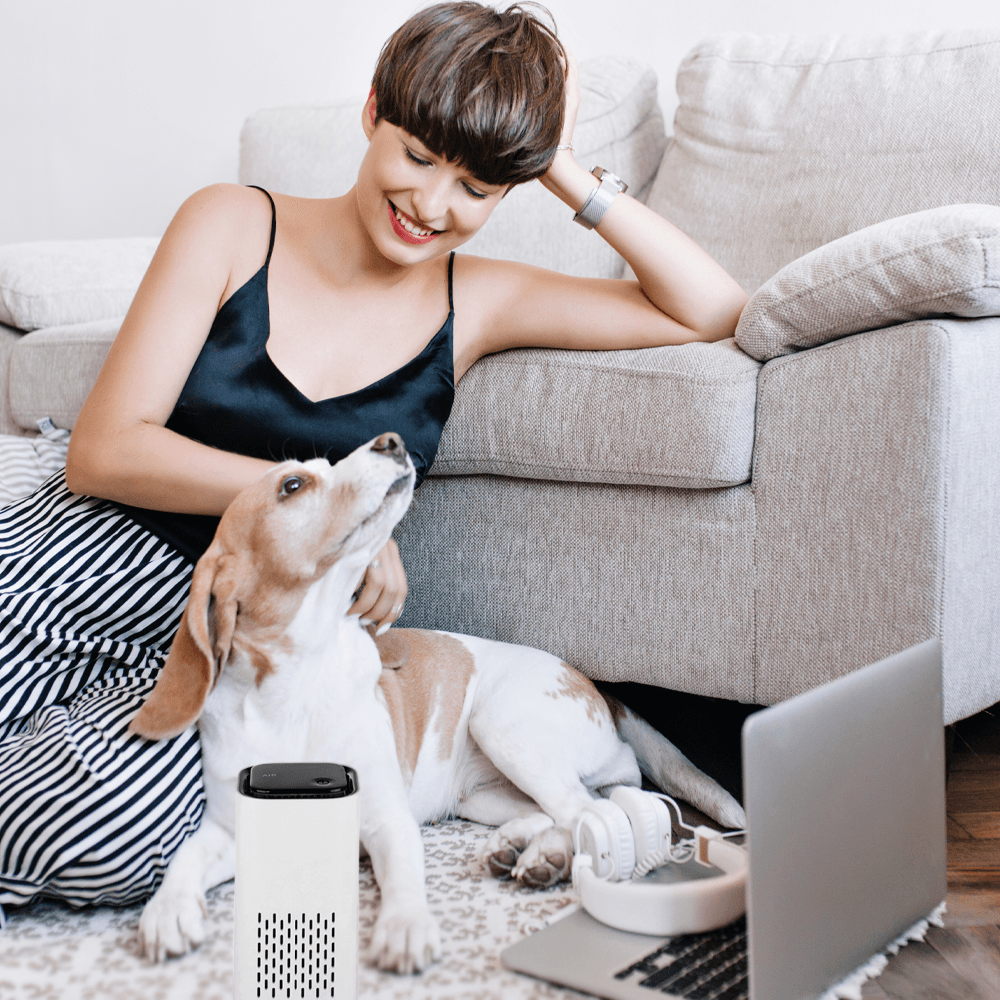 Pet Air Purifier image 6