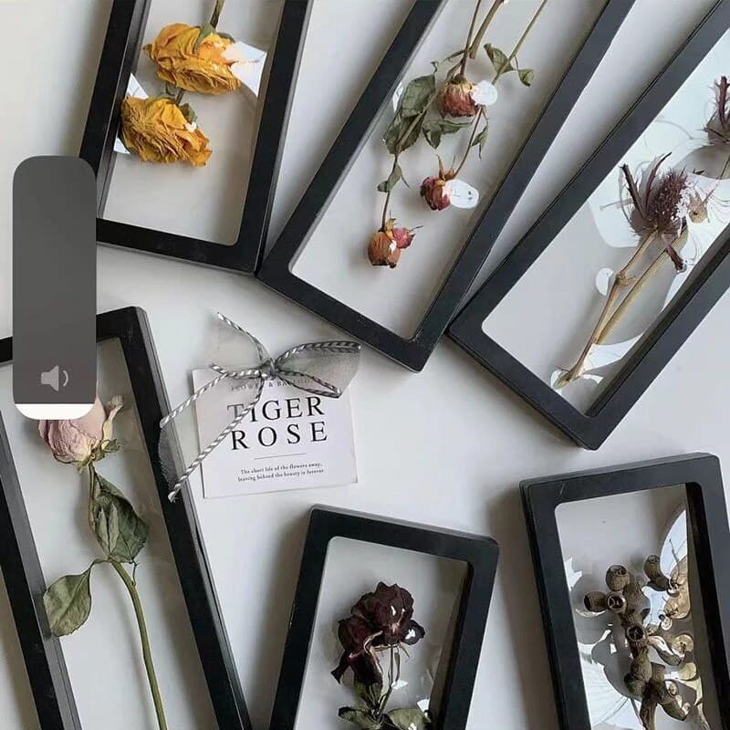 Dried Flower Frame Storage Box: Transparent Display Picture Frame for Jewelry & Home Wall Decoration image 2