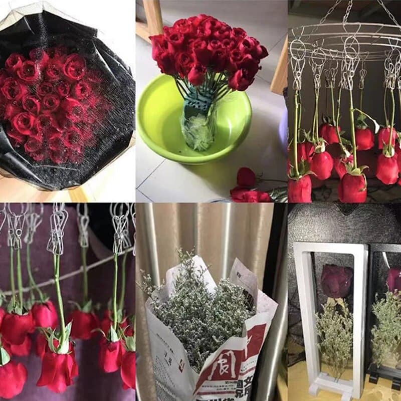 Dried Flower Frame Storage Box: Transparent Display Picture Frame for Jewelry & Home Wall Decoration image 6