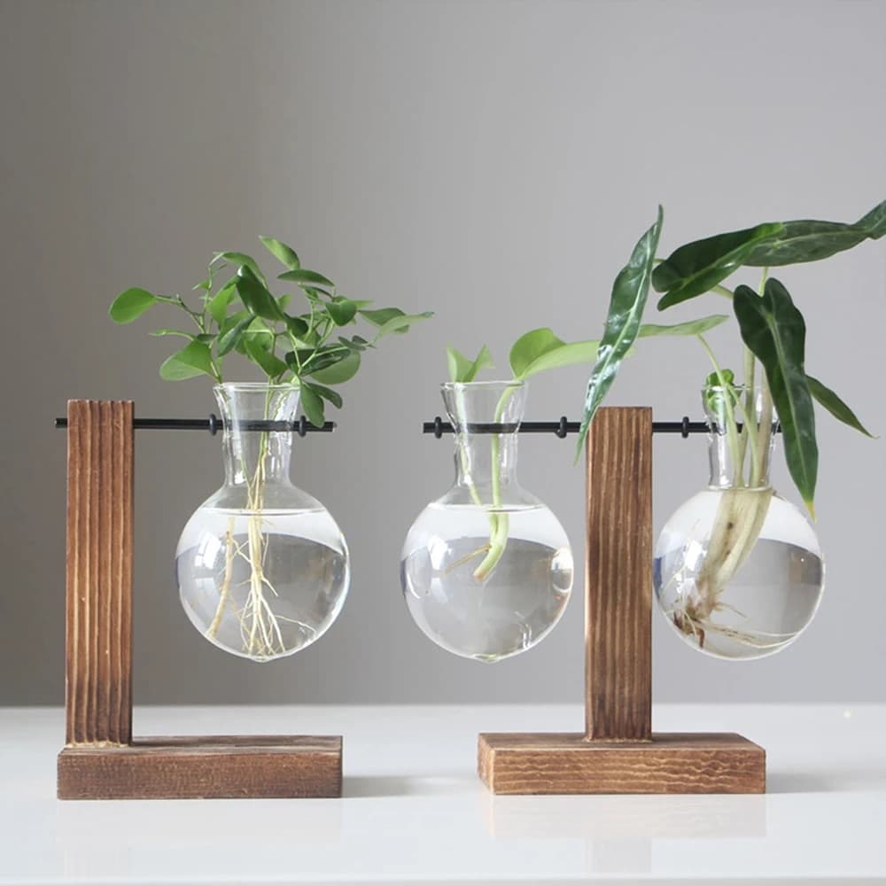 Creative Glass Desktop Planter Bulb Vase with Wooden Stand - Hydroponic Plant Container for Home Tabletop Decor image 7