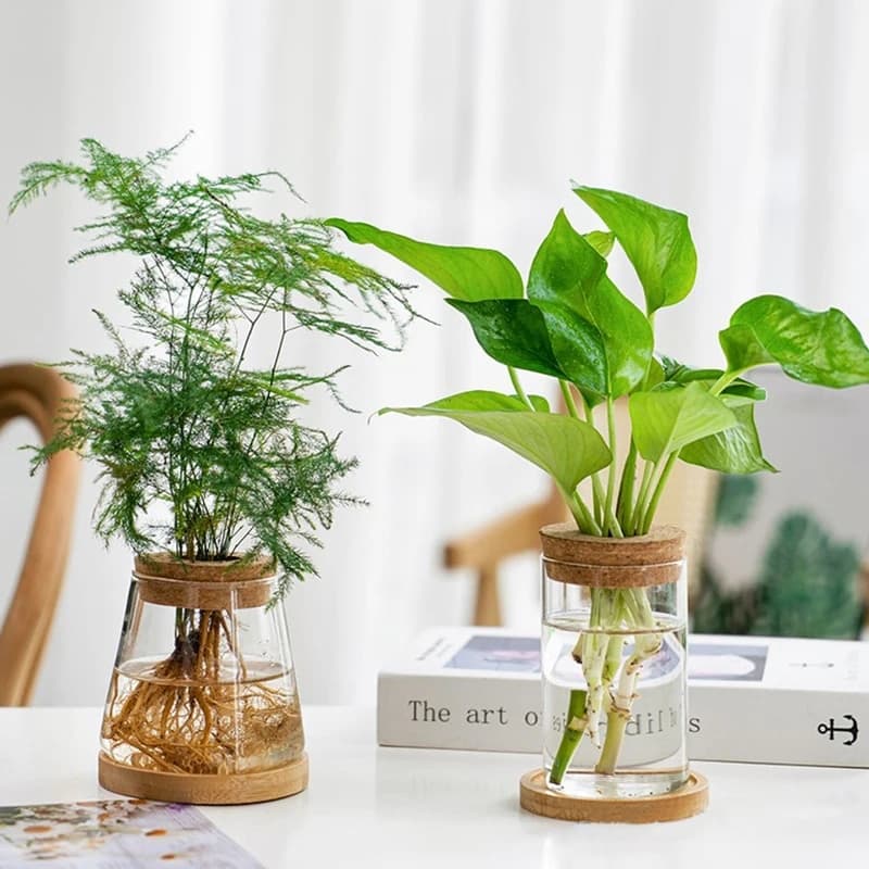 Transparent Hydroponic Flower Pot: Home Vase Decor for Office Desktop Green Plants - Soilless Plant Pots image 6