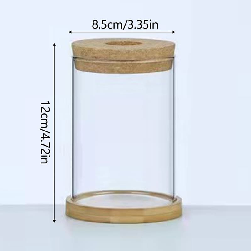 Transparent Hydroponic Flower Pot: Home Vase Decor for Office Desktop Green Plants - Soilless Plant Pots image 10