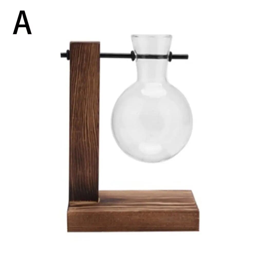 Transparent Glass Avocado Seed Starter Vase, Plant Growing Kit for Gardening Enthusiasts image 8