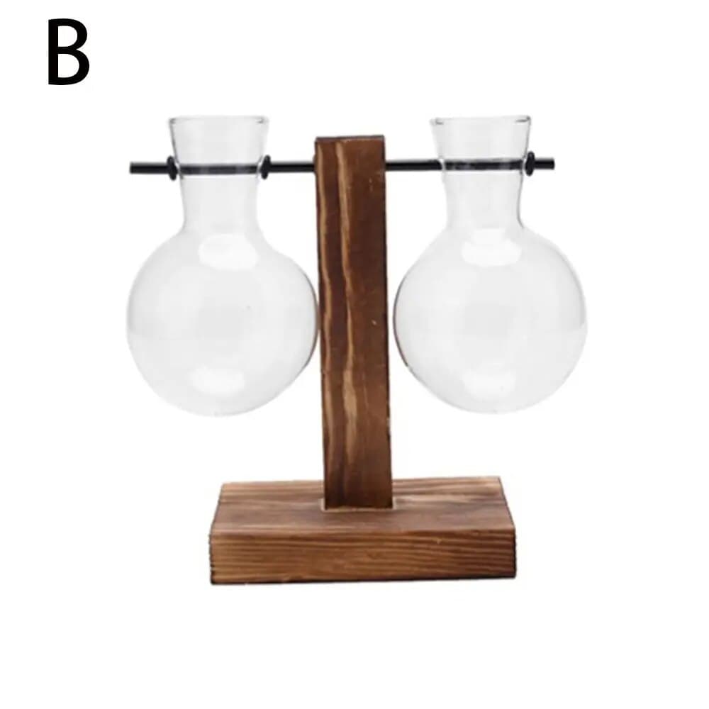 Transparent Glass Avocado Seed Starter Vase, Plant Growing Kit for Gardening Enthusiasts image 7