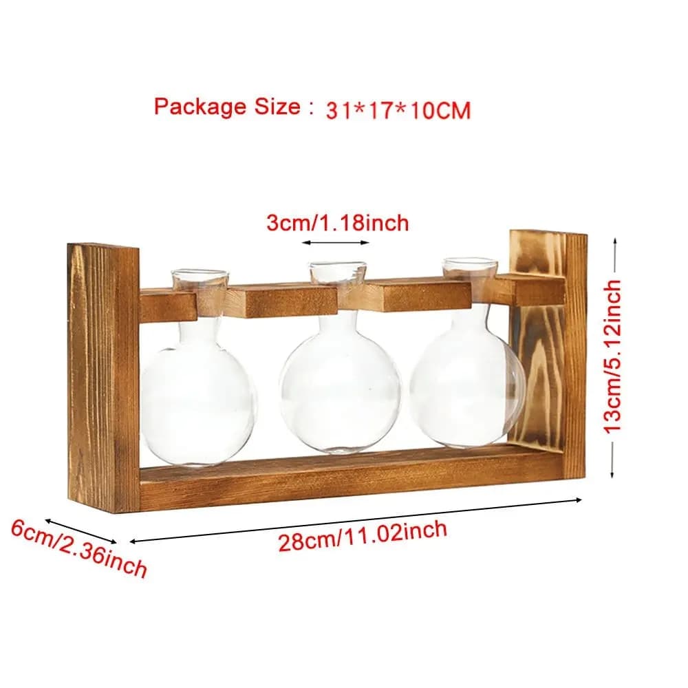 Transparent Glass Avocado Seed Starter Vase, Plant Growing Kit for Gardening Enthusiasts image 4