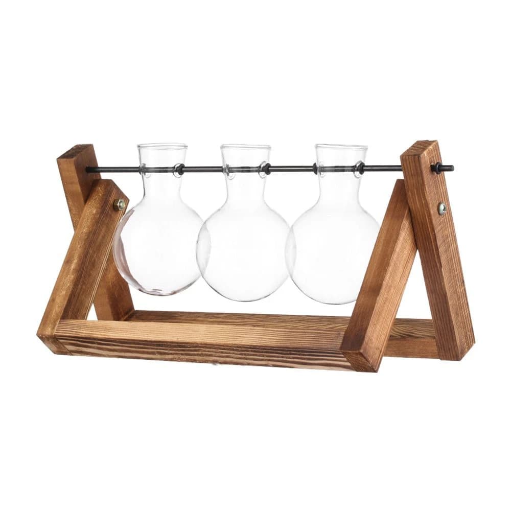 Transparent Glass Avocado Seed Starter Vase, Plant Growing Kit for Gardening Enthusiasts image 6