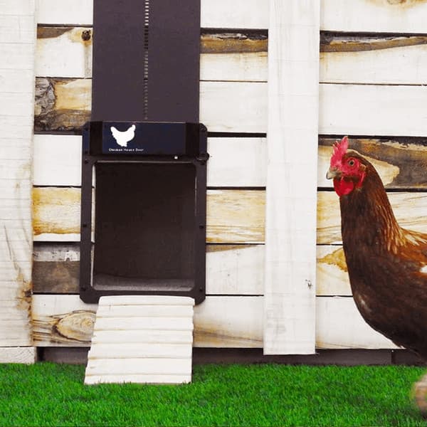 Secure Your Coop - Automatic Chicken Door with IP44 Waterproof Design, Easy Installation for All Weather Conditions image 3