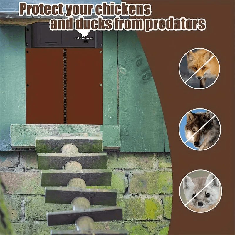 Secure Your Coop - Automatic Chicken Door with IP44 Waterproof Design, Easy Installation for All Weather Conditions image 4