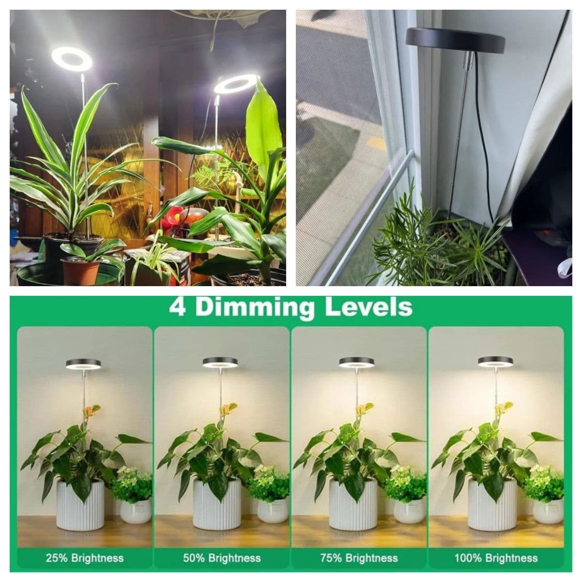 Plant Grow Light LED Growing Lamp, Full Spectrum, Height Adjustable, Auto Timer, Indoor Plant Light Solution image 6